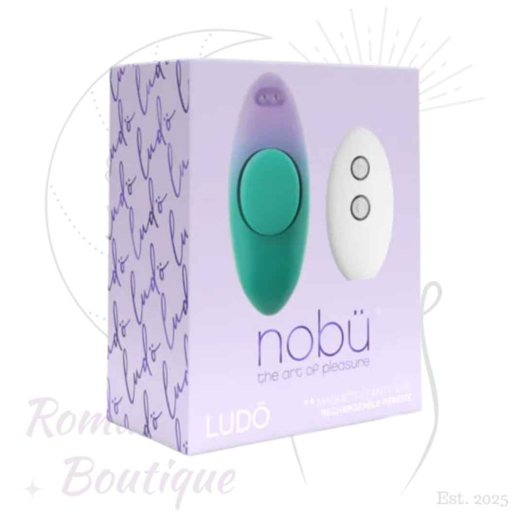 Ludo Magnetic Panty Vibrator
